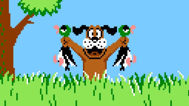 duckhunt